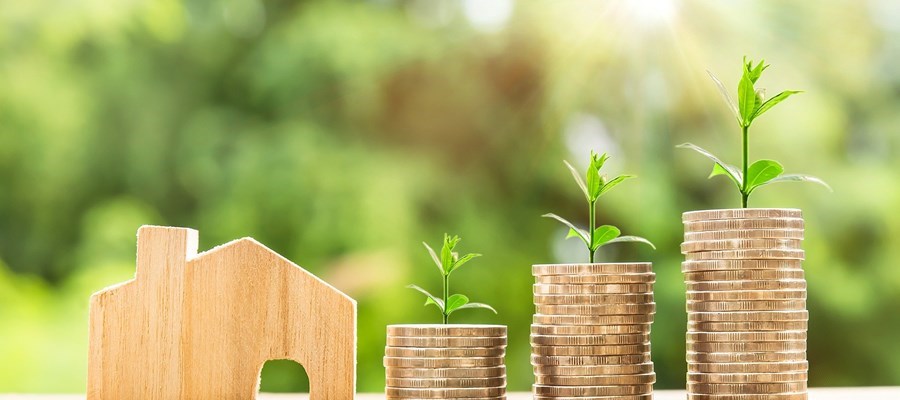 Managing Financial Debt