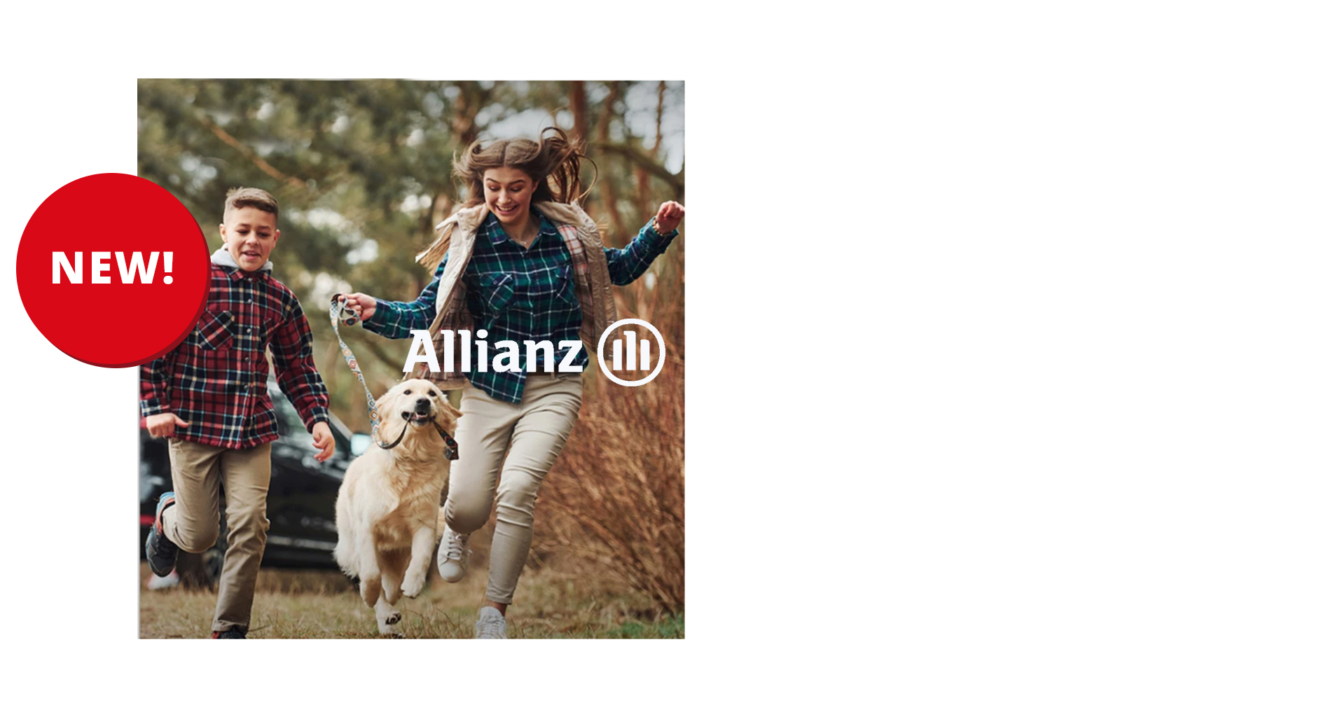 Car, Home and Pet Insurance