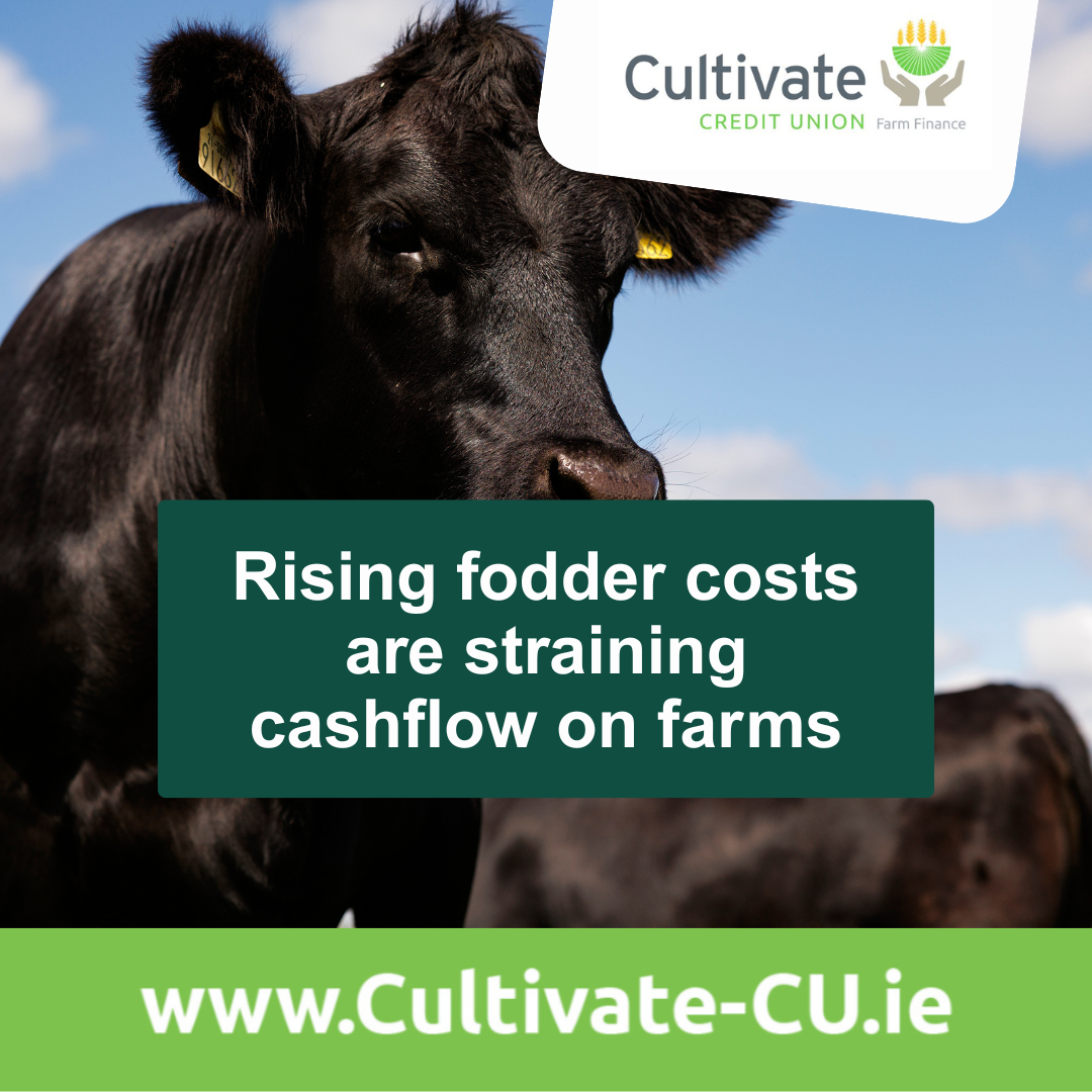 Raising Fodder Costs are Straining Cashflow on Farms